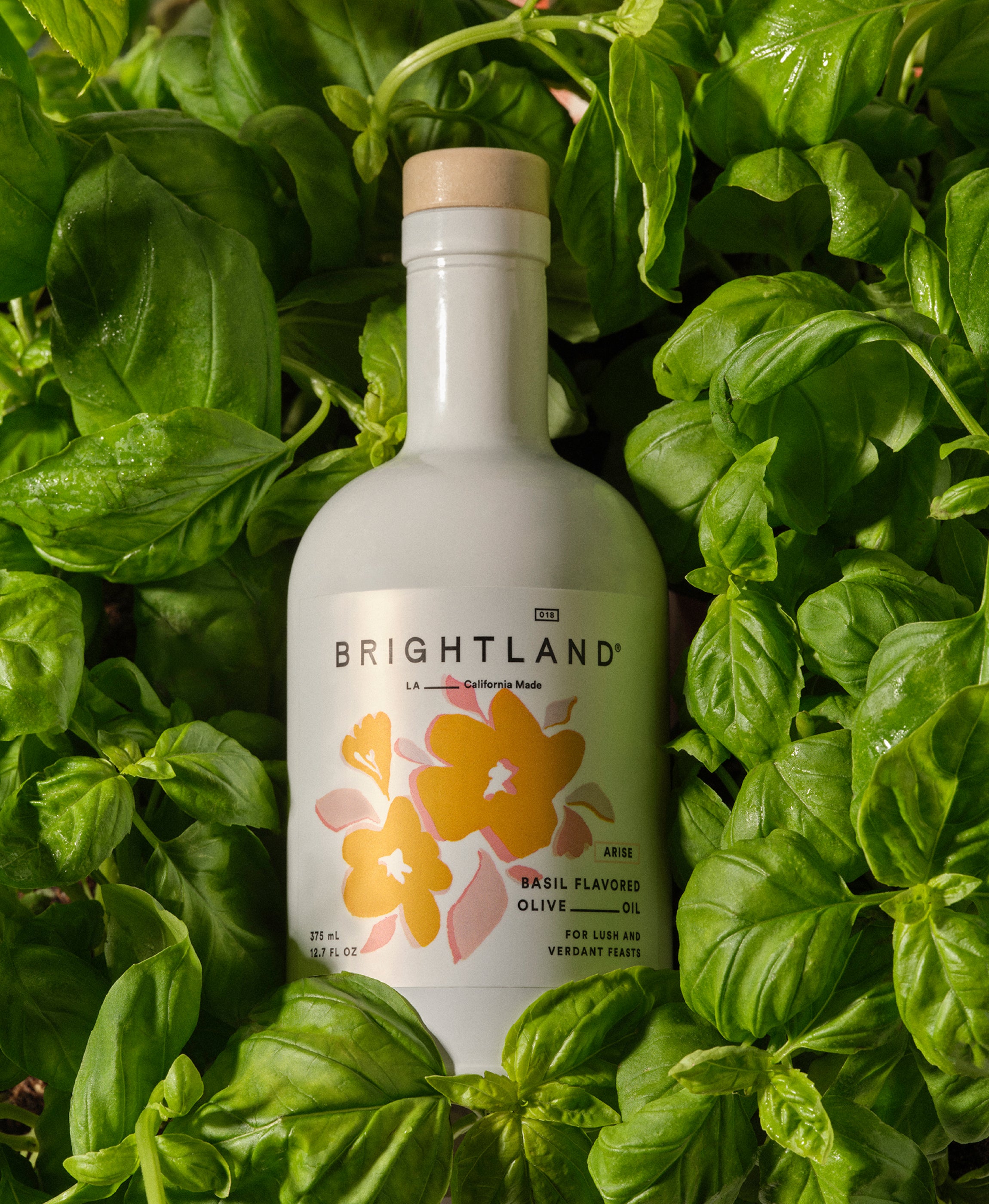 Arise Basil Olive Oil