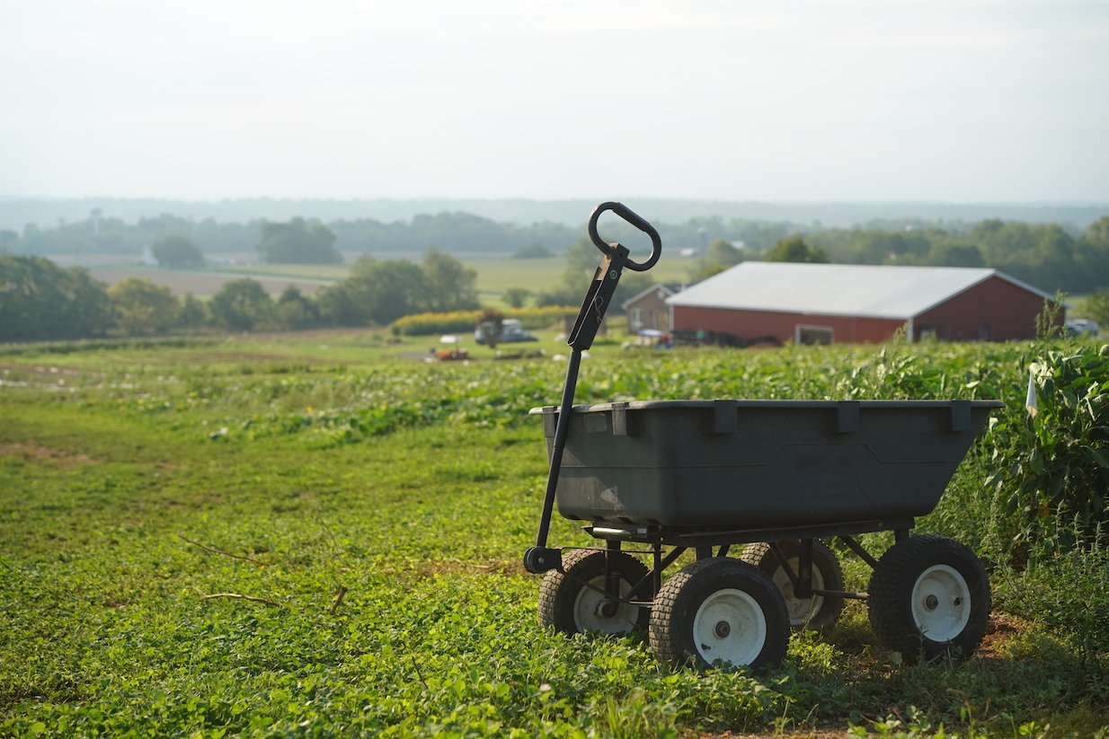 The Farmlink Project is Feeding Millions from Surplus Food