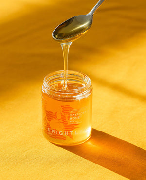 a jar of brightland raw california honey