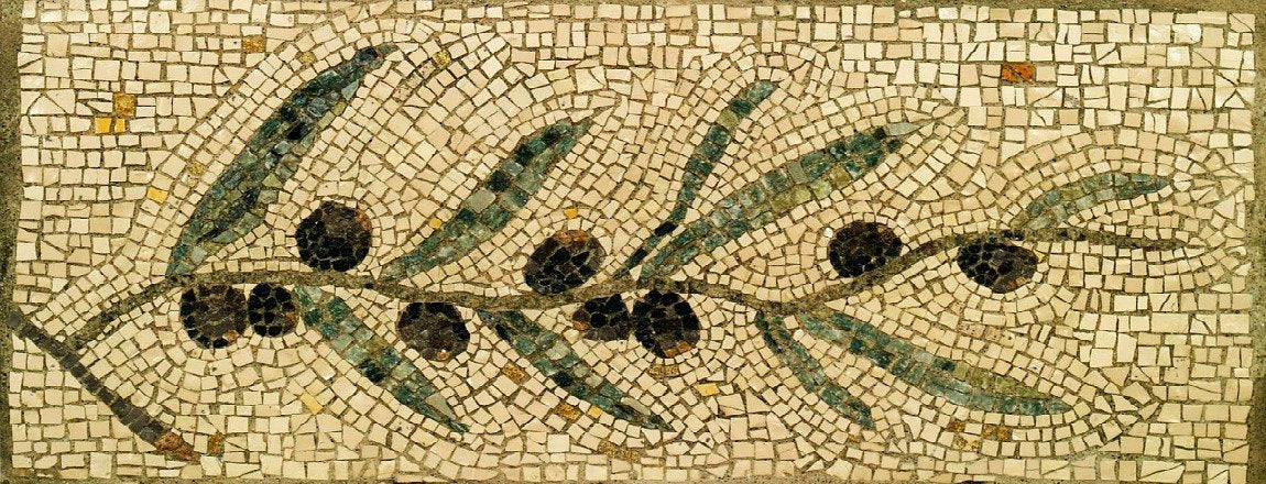 Olive Oil Origins