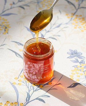 dripping honey into jar from spoon