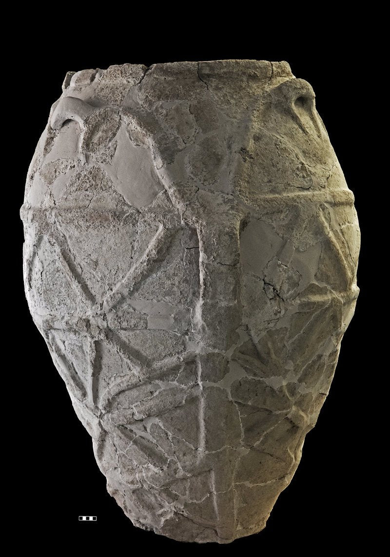 Found: Evidence of Italy's Oldest Olive Oil
