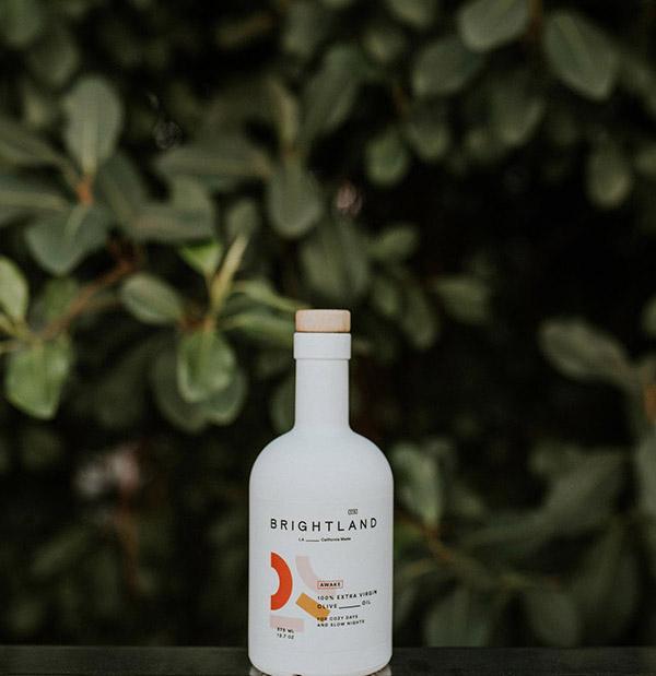 olive oil with a bush background