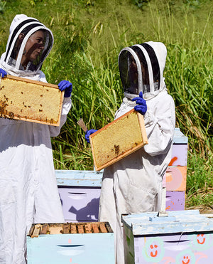 pair handling bees separator boards