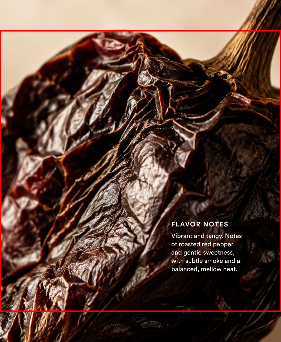 Ember Ancho Chili Vinegar