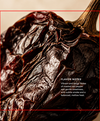 Ember Ancho Chili Vinegar