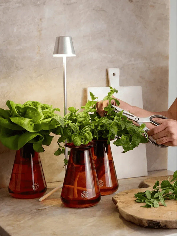 Counterstand Set