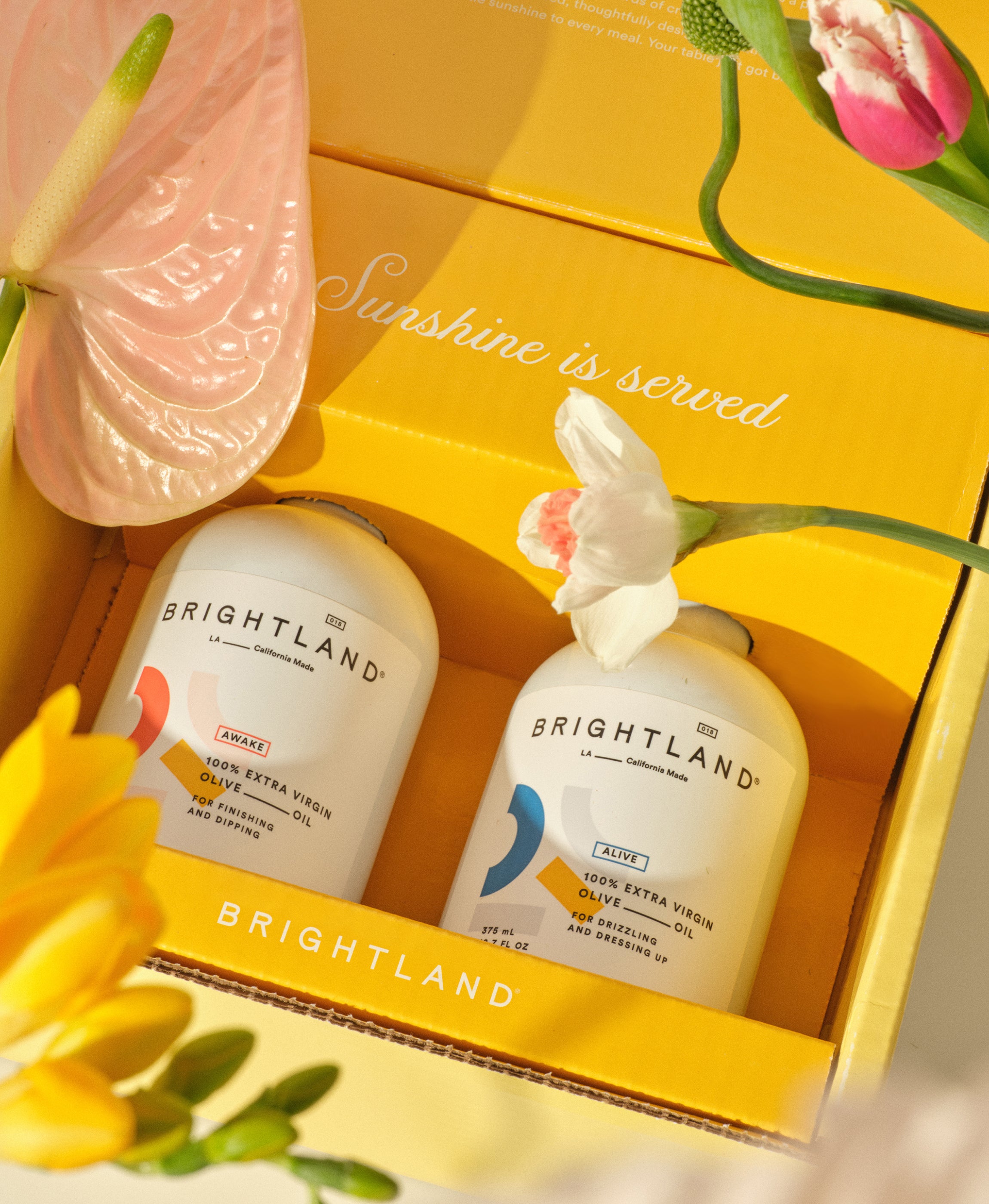 The Premium Olive Oil Duo | Brightland
