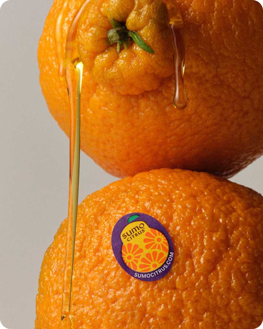 Limited Release: Sumo Citrus Flavored Olive Oil | Brightland