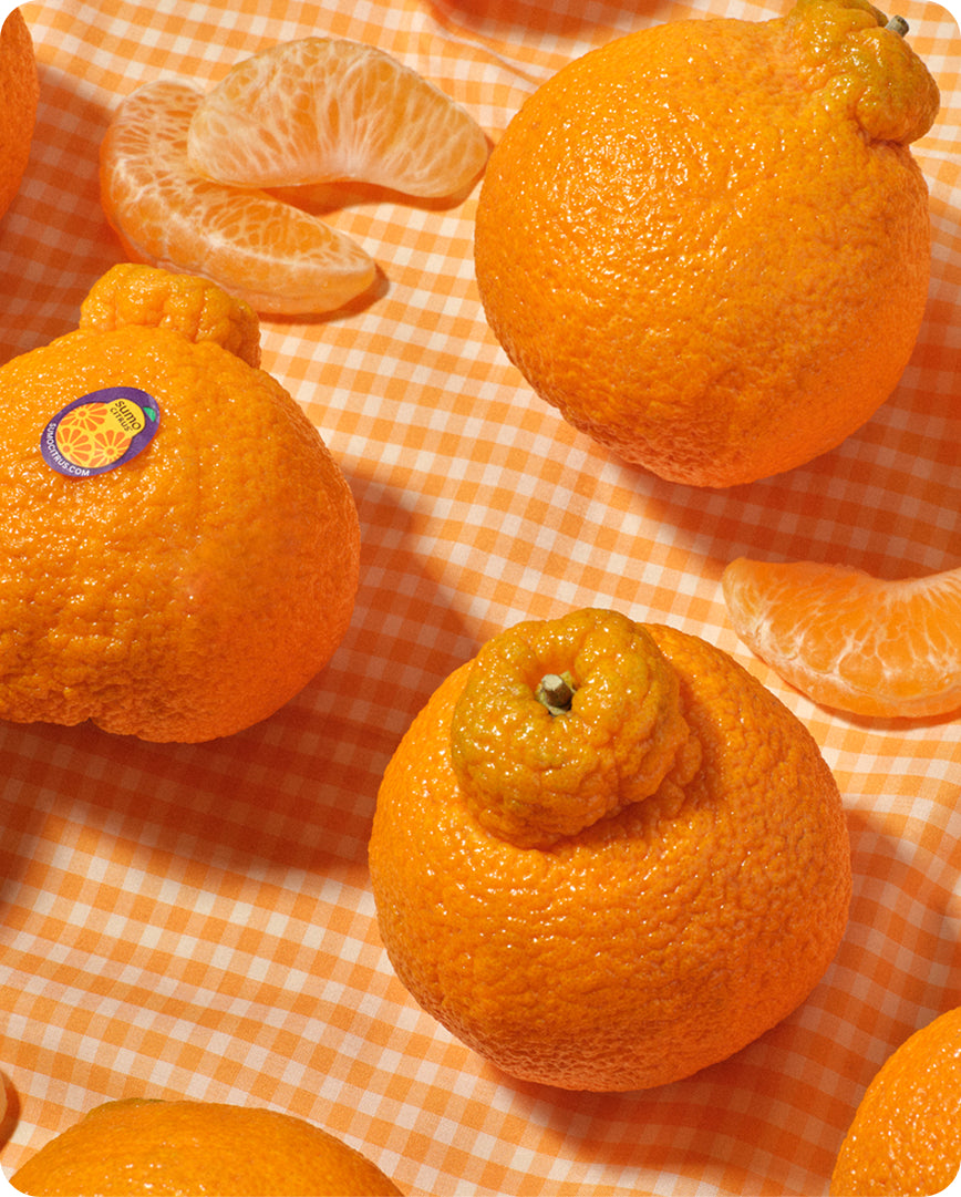 Limited Release: Sumo Citrus Flavored Olive Oil | Brightland