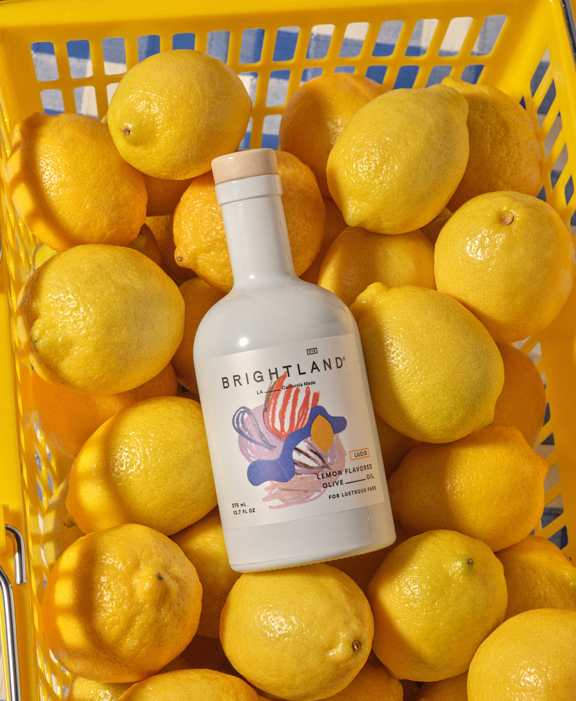 The Artist Series Set