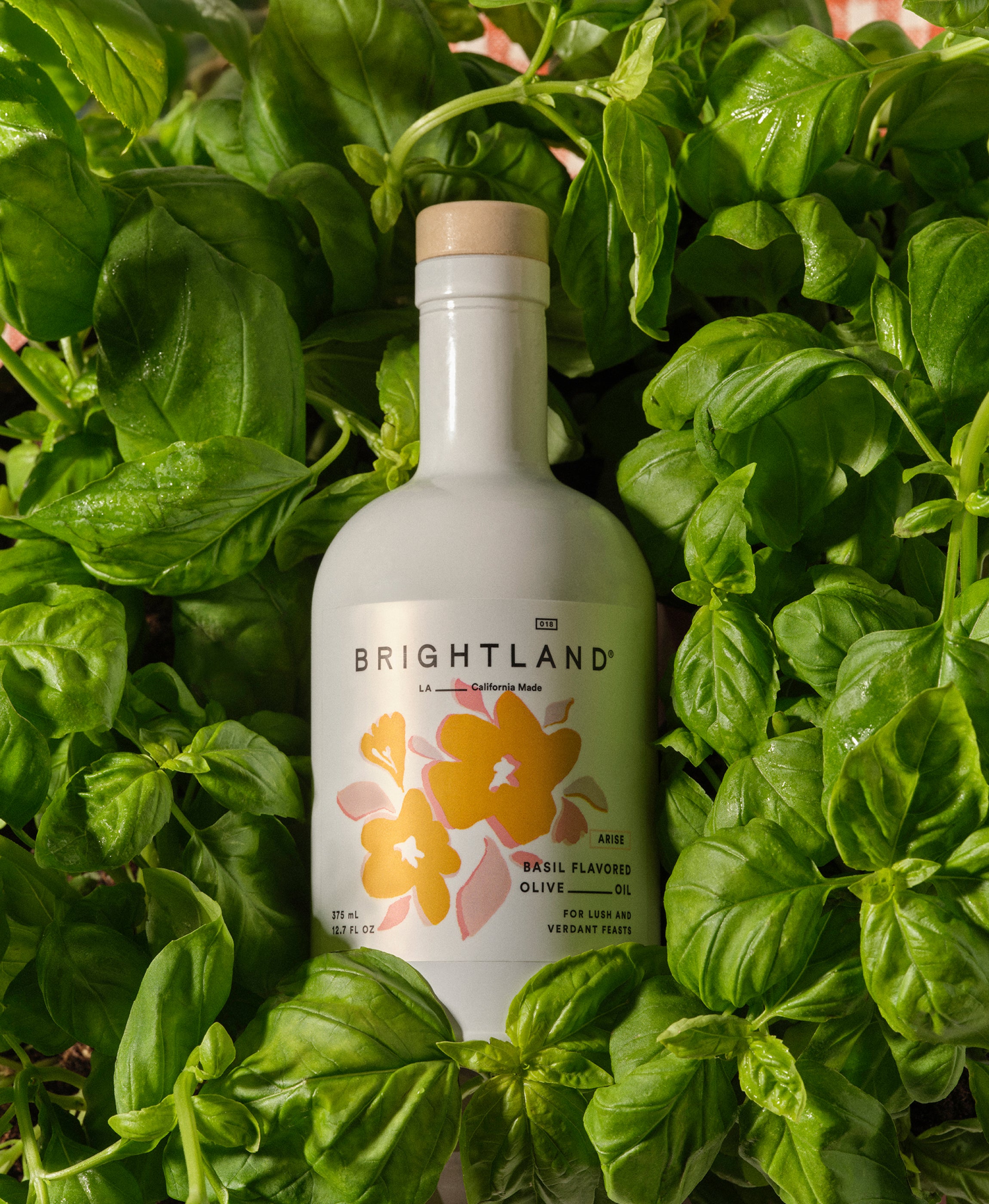 The Artist Series Set