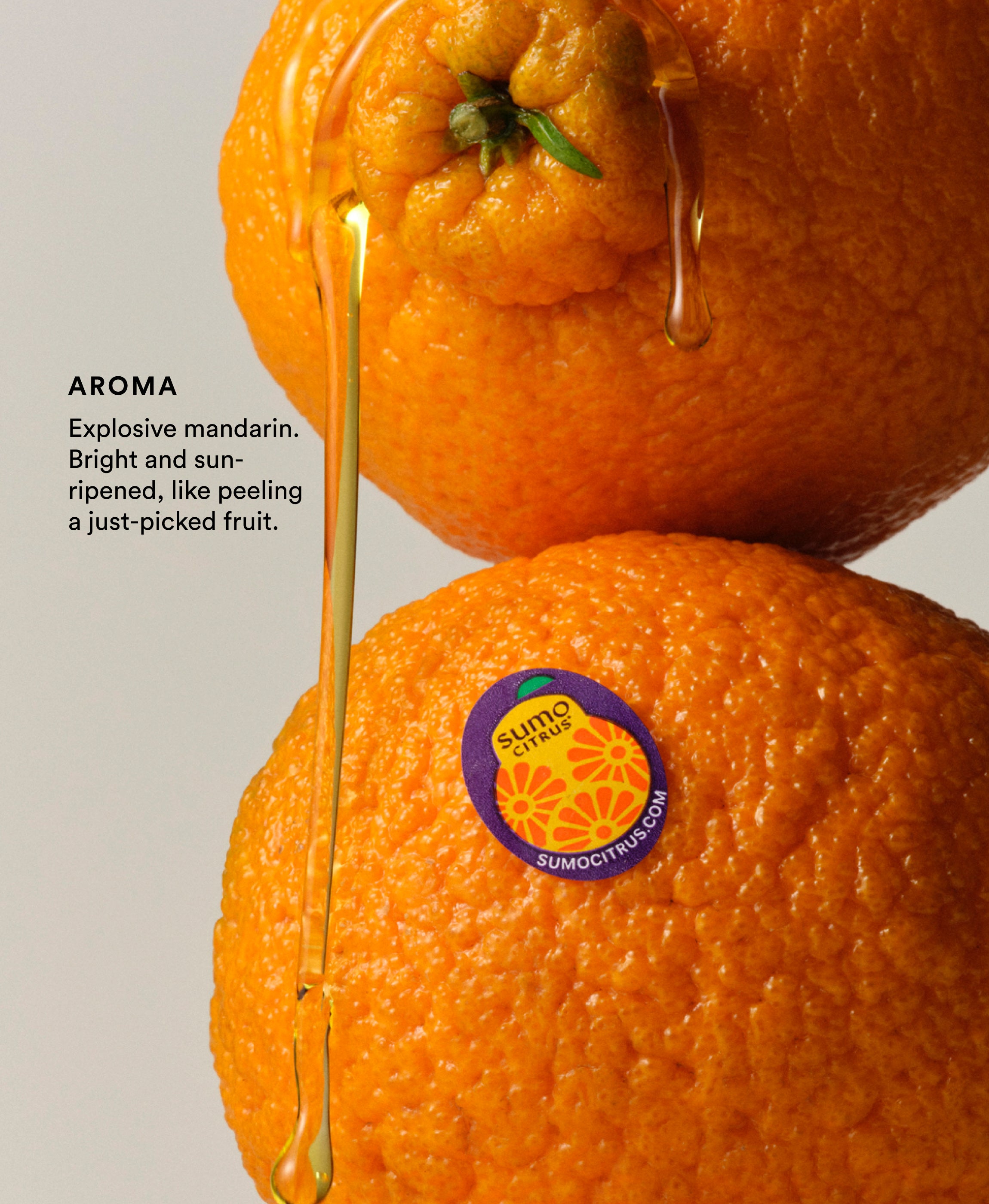 Sumo Citrus Flavored Olive Oil