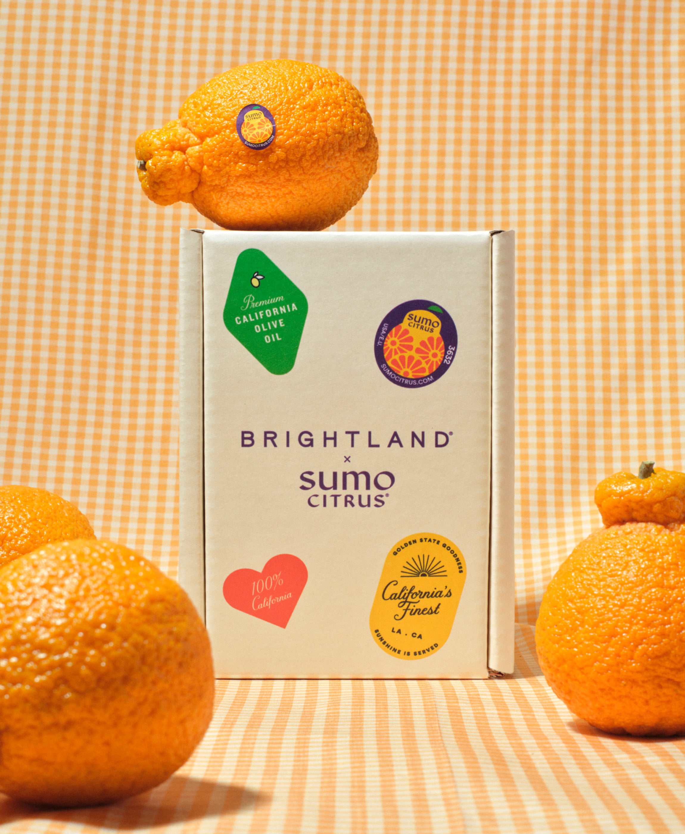 Limited Release: Sumo Citrus Flavored Olive Oil | Brightland