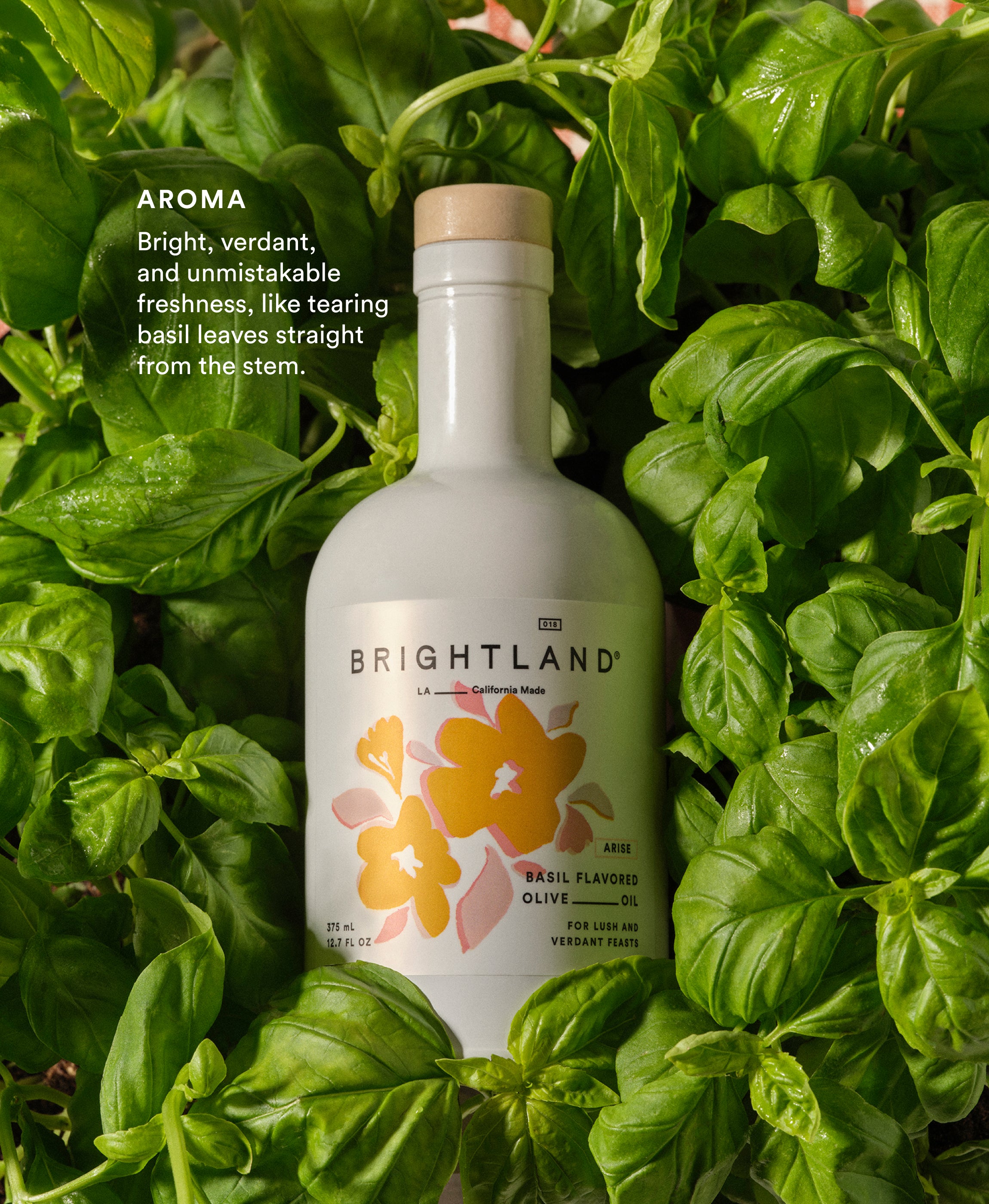 Arise Basil Olive Oil